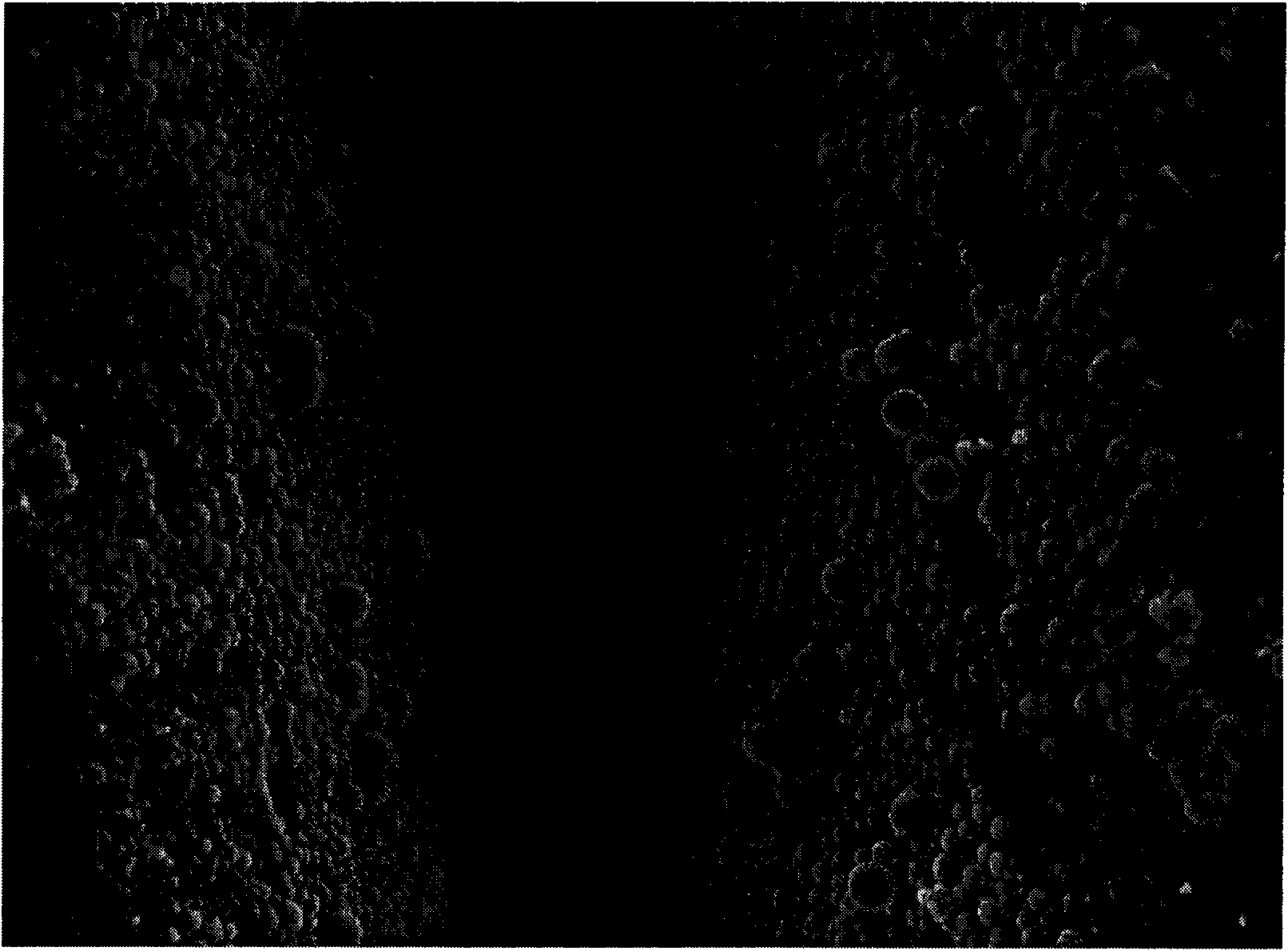 Nano-structured surface and in situ forming method thereof