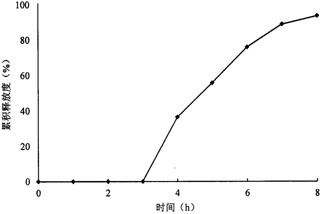 Melatonin delayed release tablet and preparation method thereof