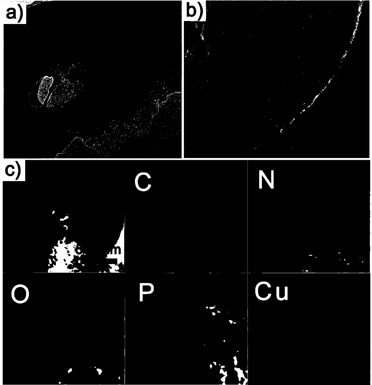 Application of heteroatom-doped porous carbon coated cuprous phosphide composite catalyst