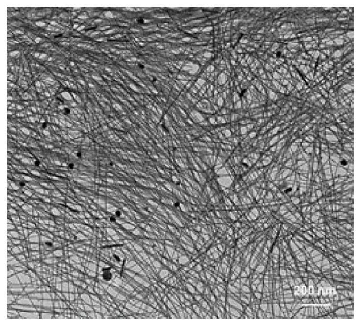 Preparation method of dual-element Pt/PdPt/Pt sandwich tube wall porous nanotube and porous nanotube