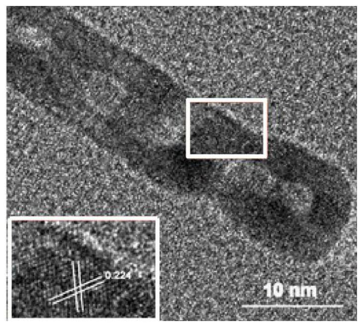 Preparation method of dual-element Pt/PdPt/Pt sandwich tube wall porous nanotube and porous nanotube