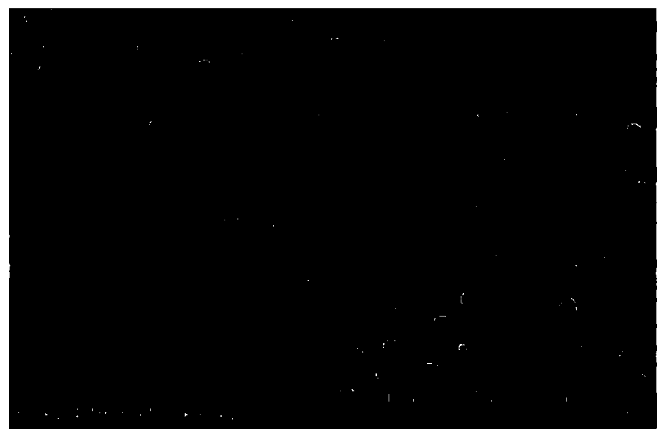 Tea polyphenol-based multifunctional nano-composite as well as preparation method and application thereof