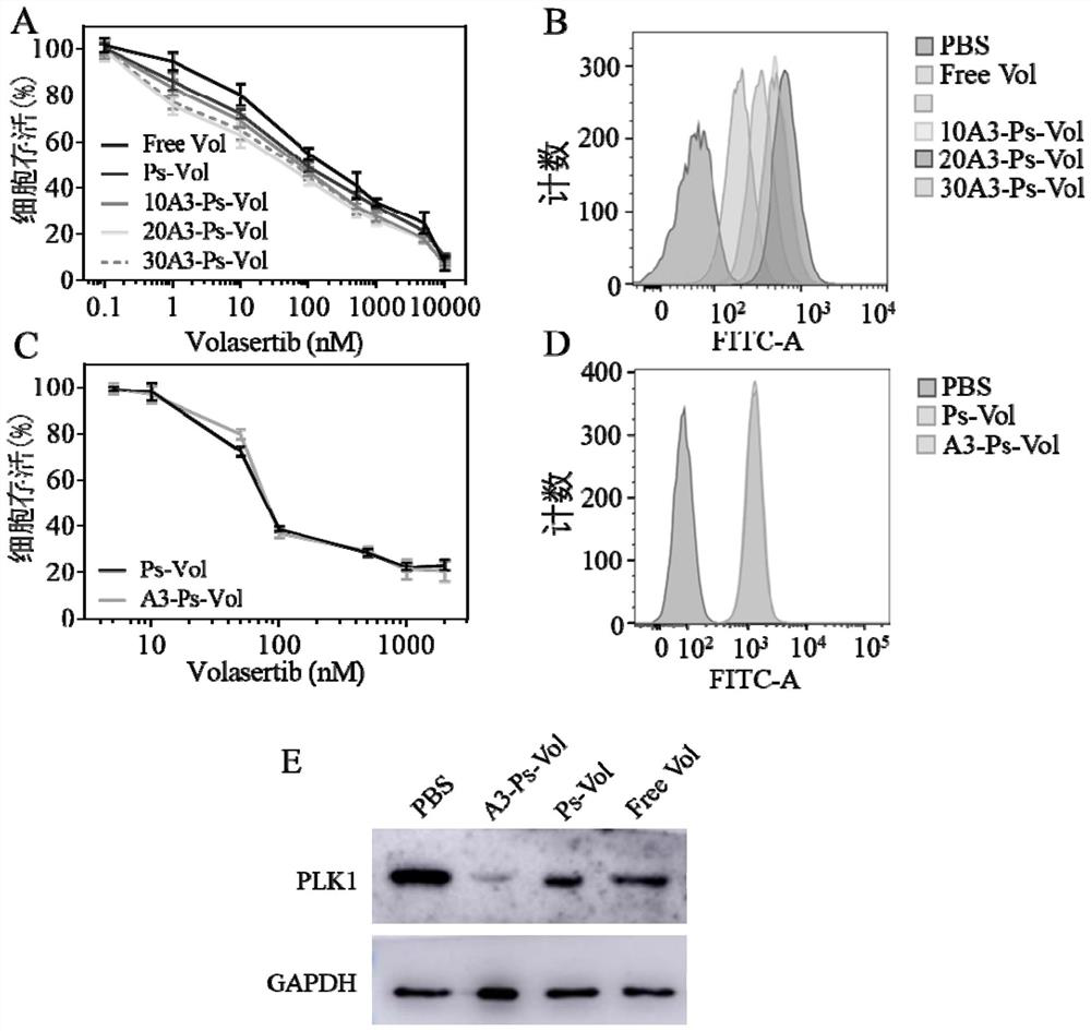 PLK1 inhibitor-loaded polymer vesicle drug and preparation method and application thereof