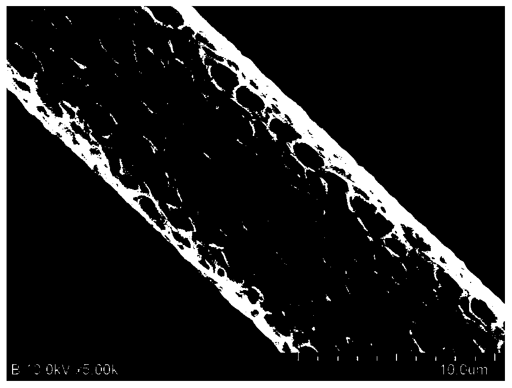 Full-body porous polycaprolactone fiber and preparation method thereof