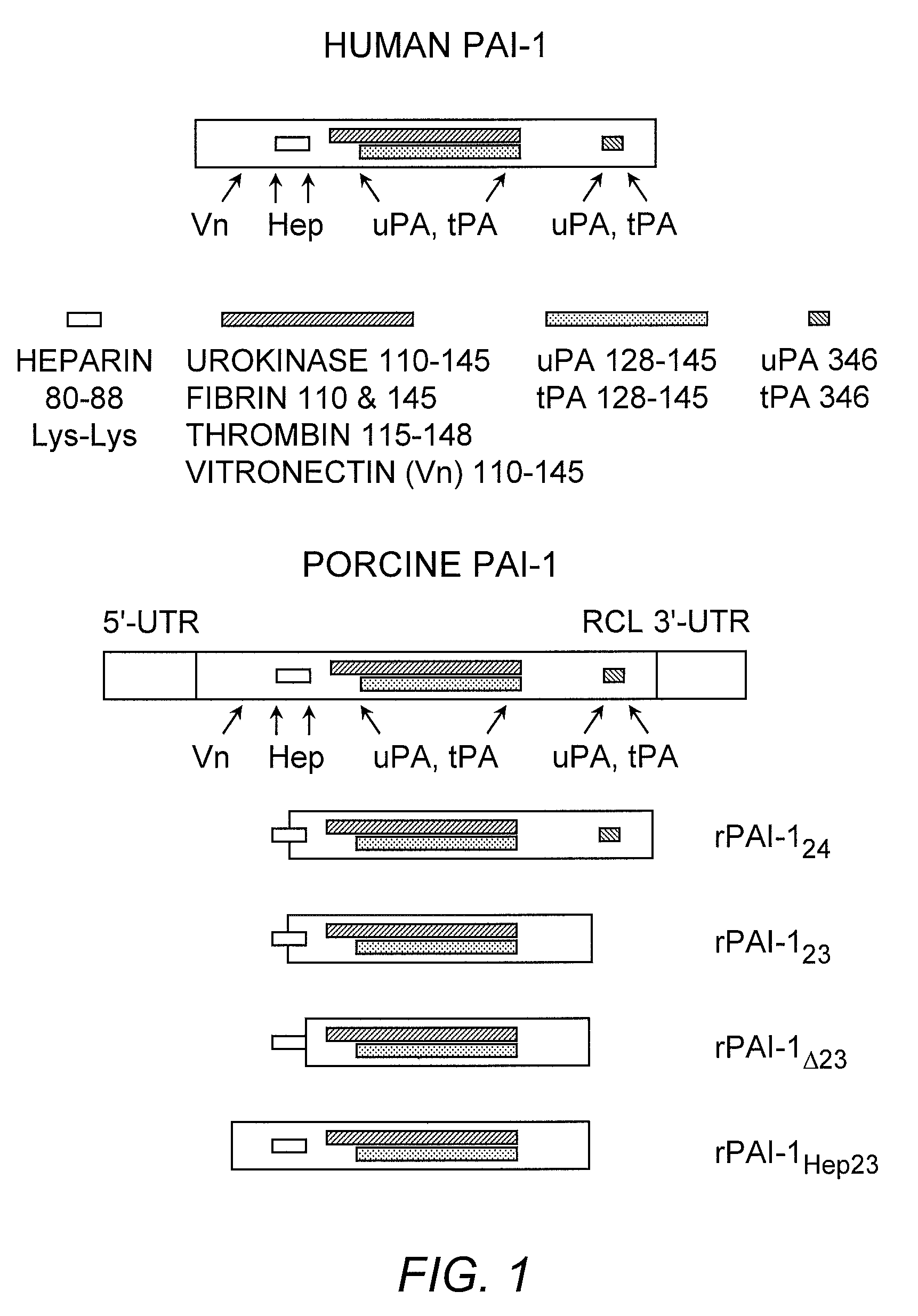 Methods for modulating angiogenesis