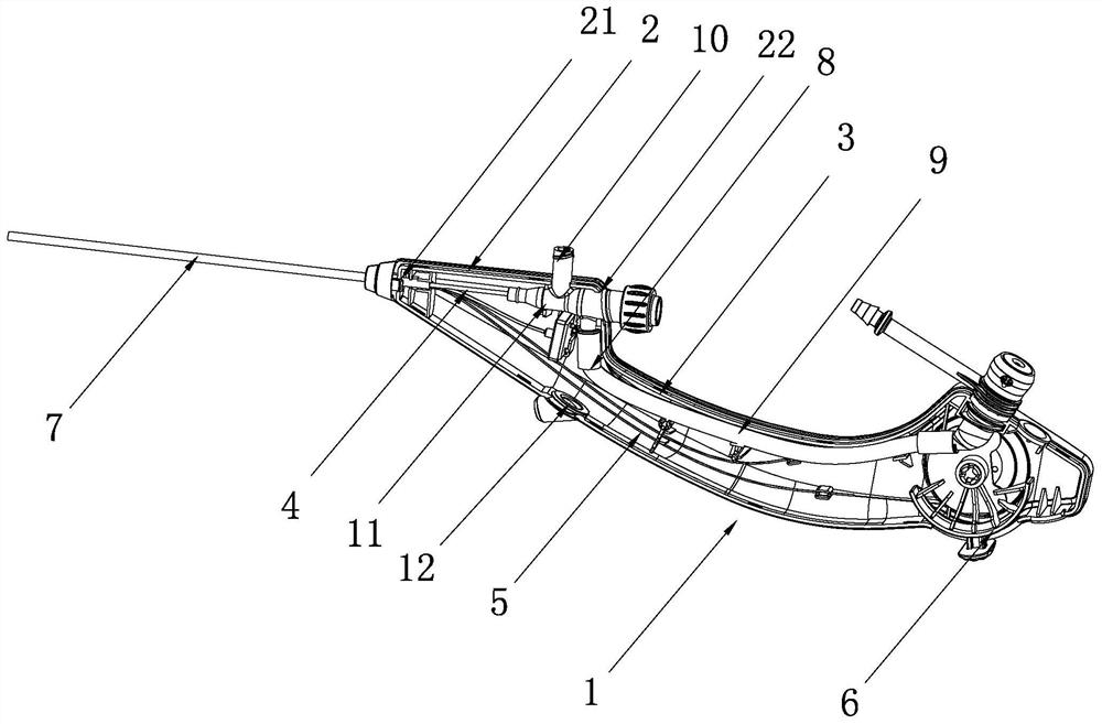 Endoscope handle and endoscope