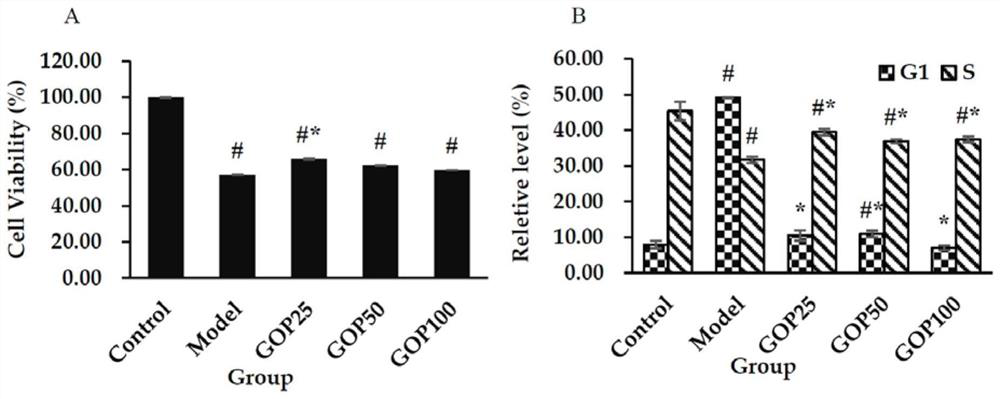 Application of ginseng radix peptide in preparation of food or health food for delaying senescence of vascular system