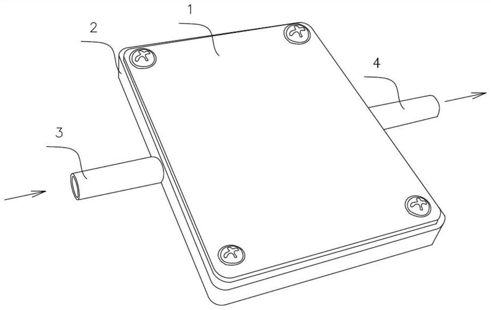 Ozone electrolytic bath