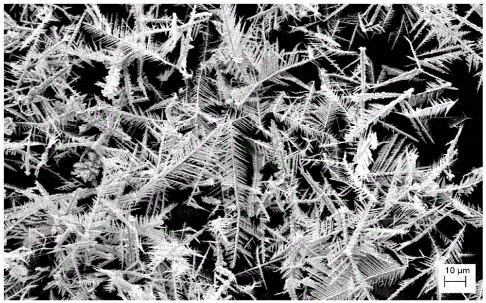 A kind of preparation method of two-dimensional feathery copper powder under ammonia condition