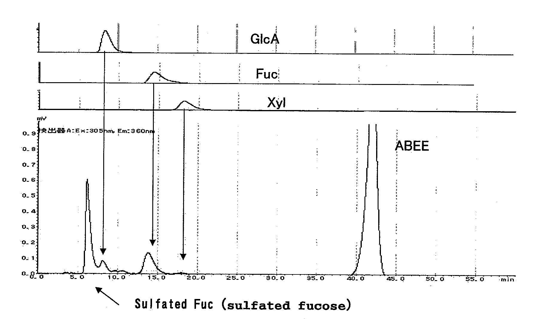 Oligosaccharides derived from fucoidan