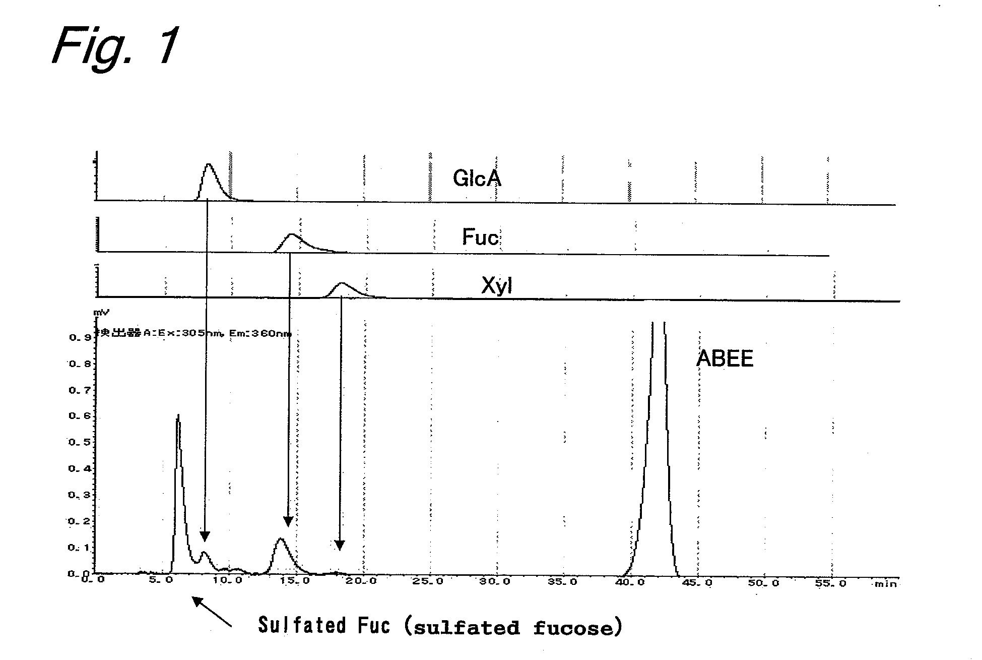 Oligosaccharides derived from fucoidan