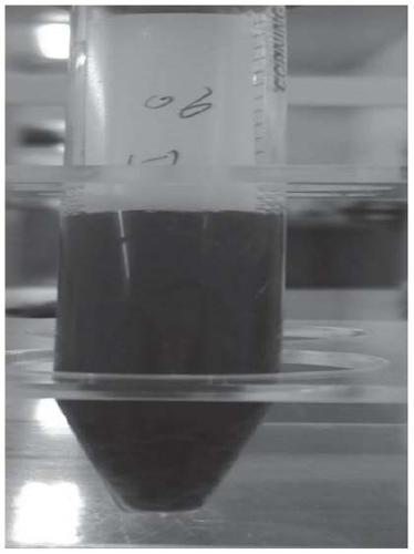 Method for culturing menstrual blood mesenchymal stem cells