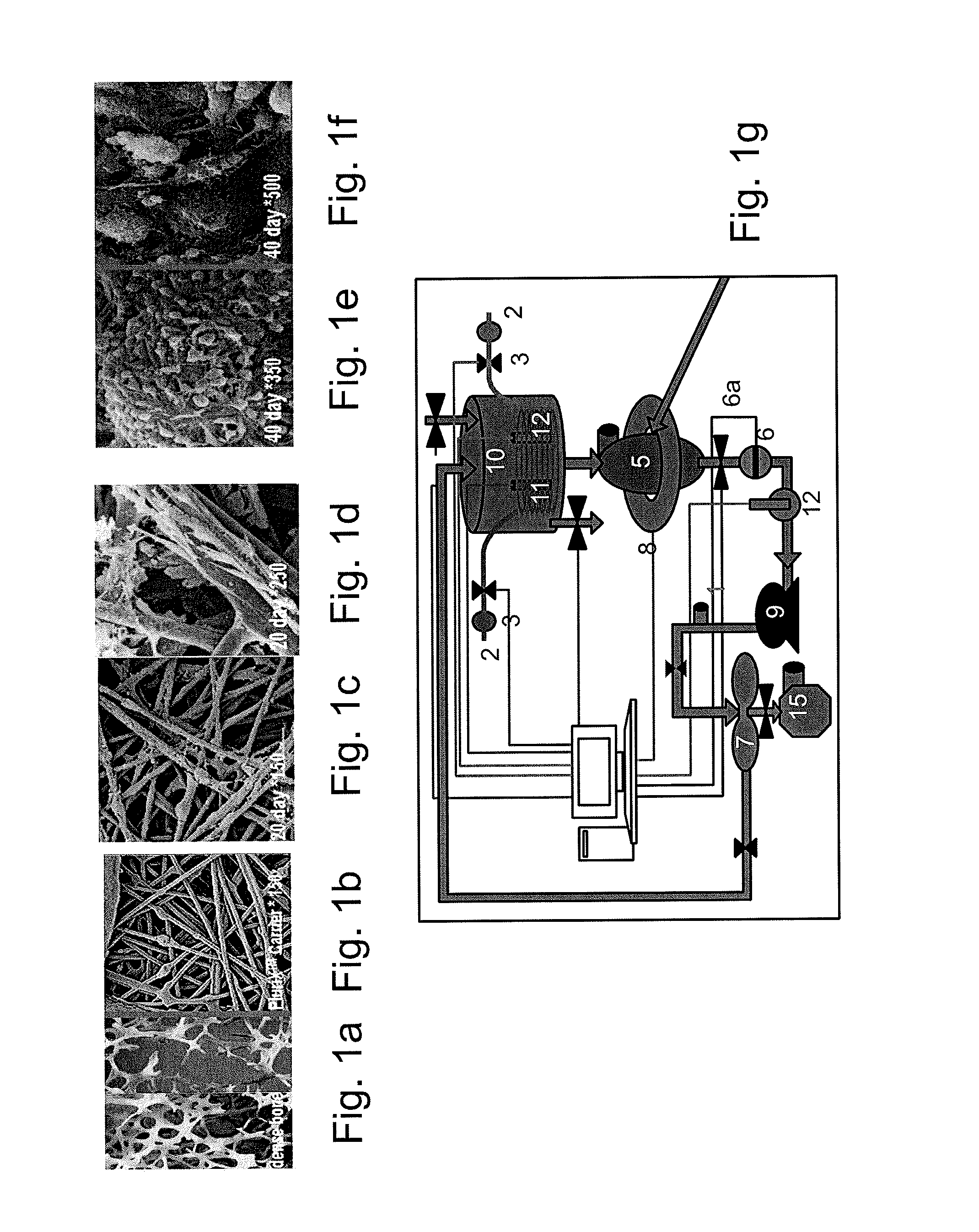 Methods for cell expansion and uses of cells and conditioned media produced thereby for therapy