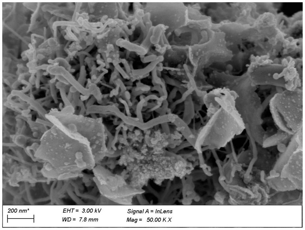 Carbon nanotube-carbon nanosheet-germanium composite negative electrode material and preparation method and application thereof