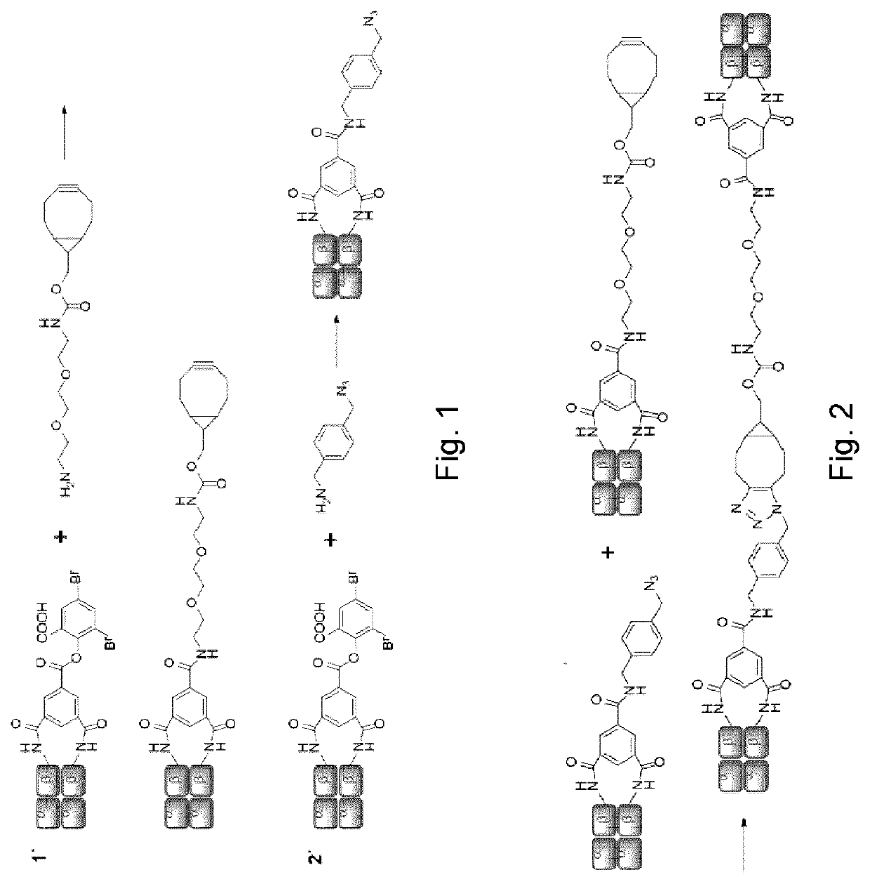 Hemoglobin based oxygen carrier and method of preparation