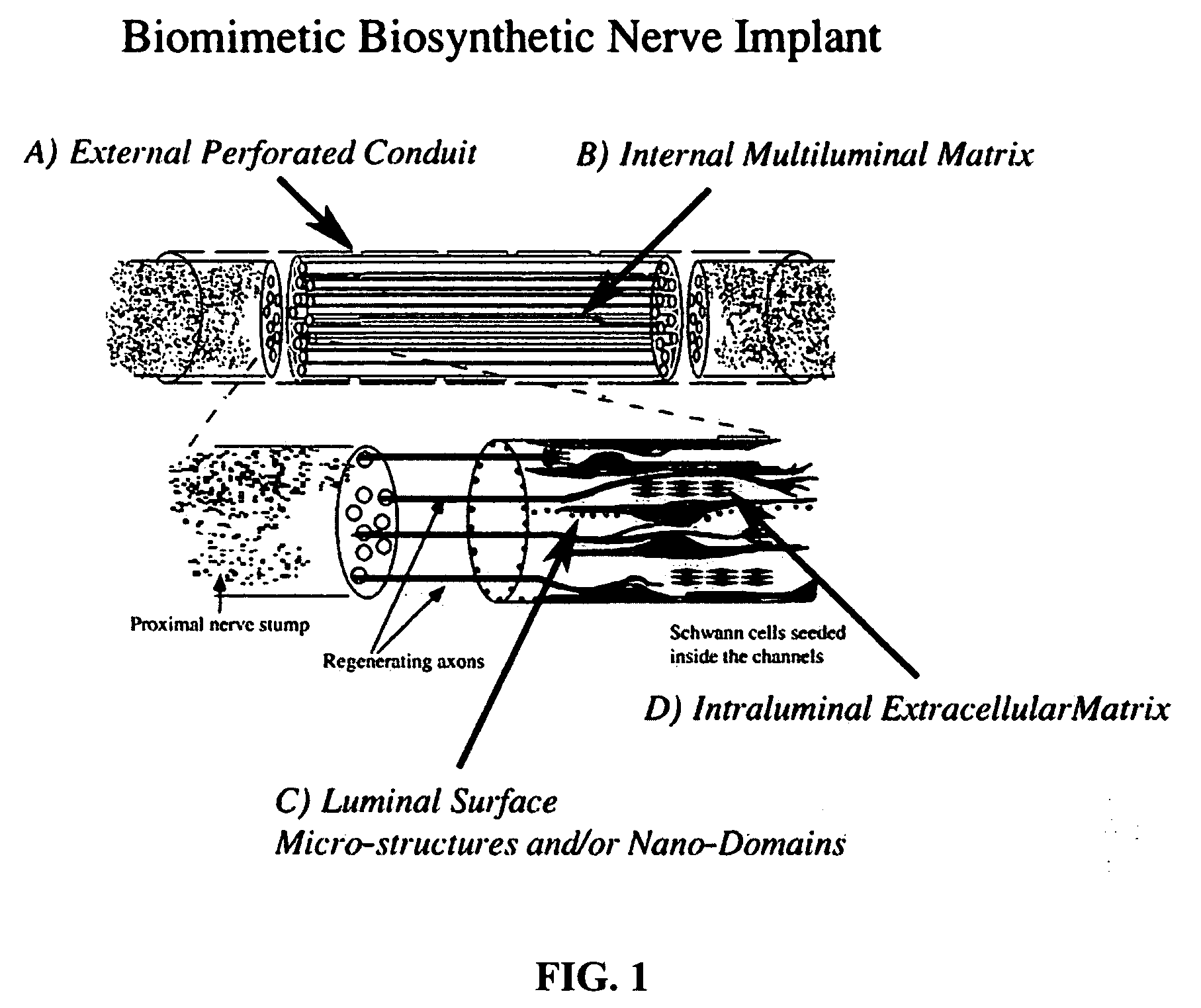 Biomimetic biosynthetic nerve implant
