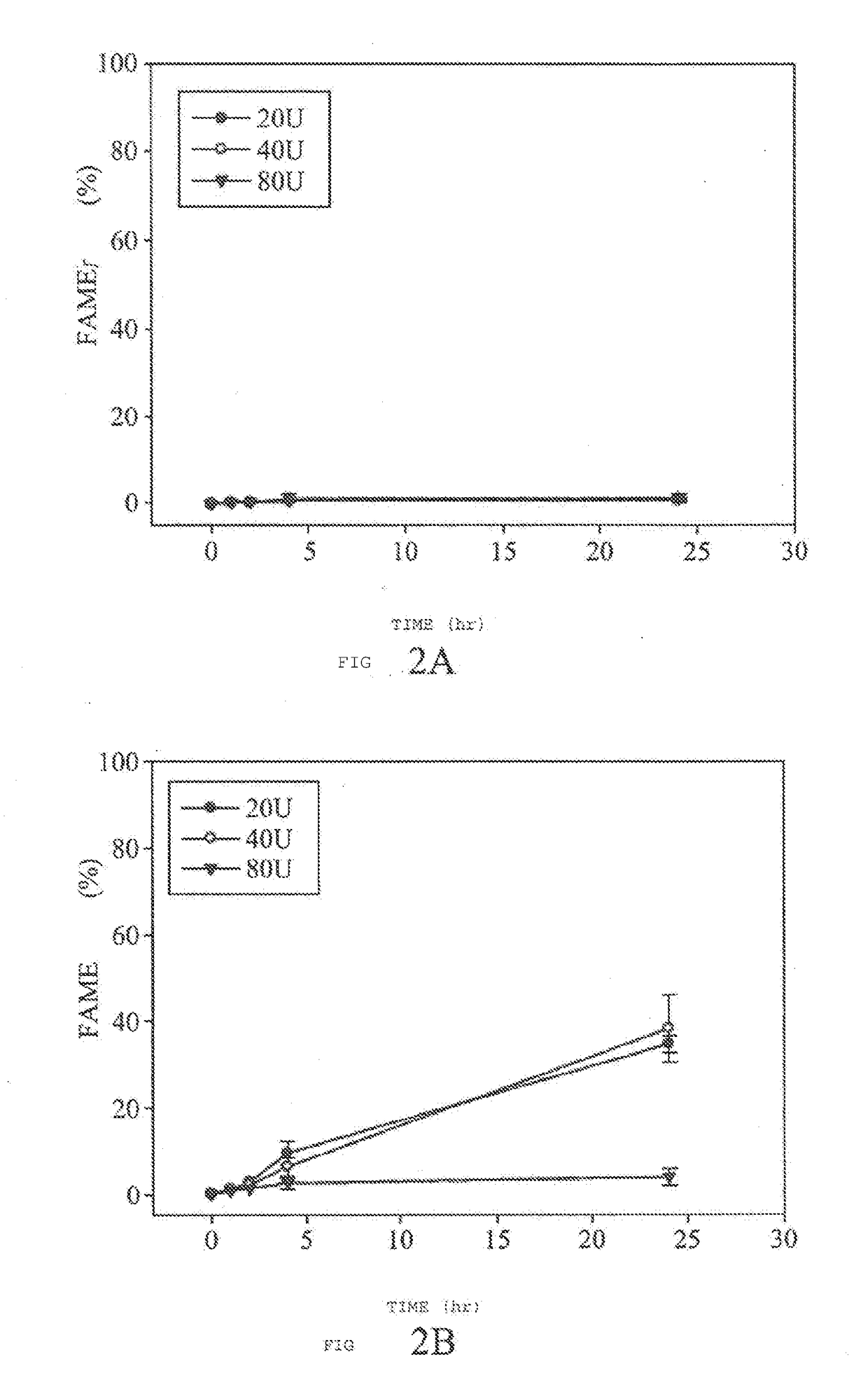 Methods for producing biodiesel by recombinant lipase