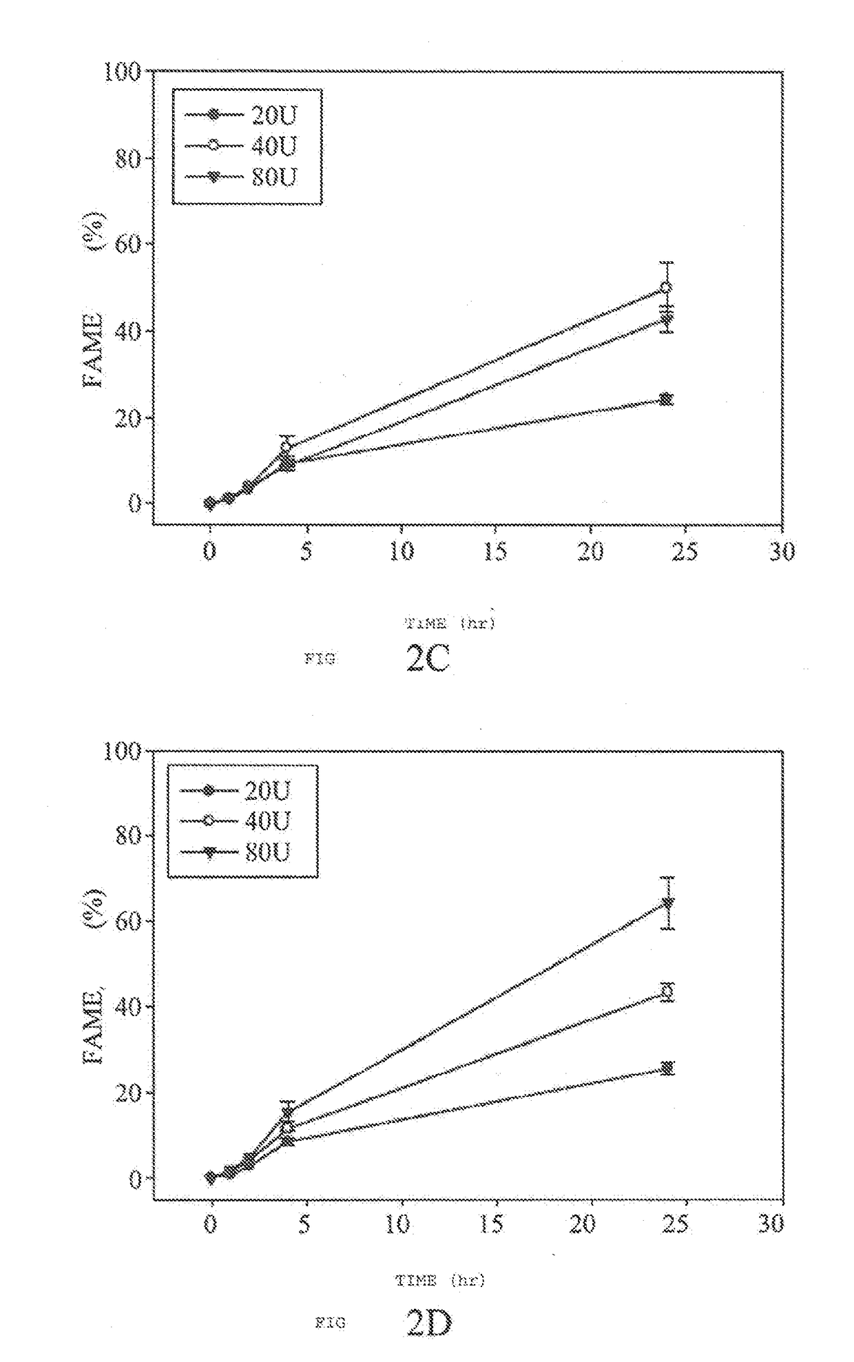 Methods for producing biodiesel by recombinant lipase