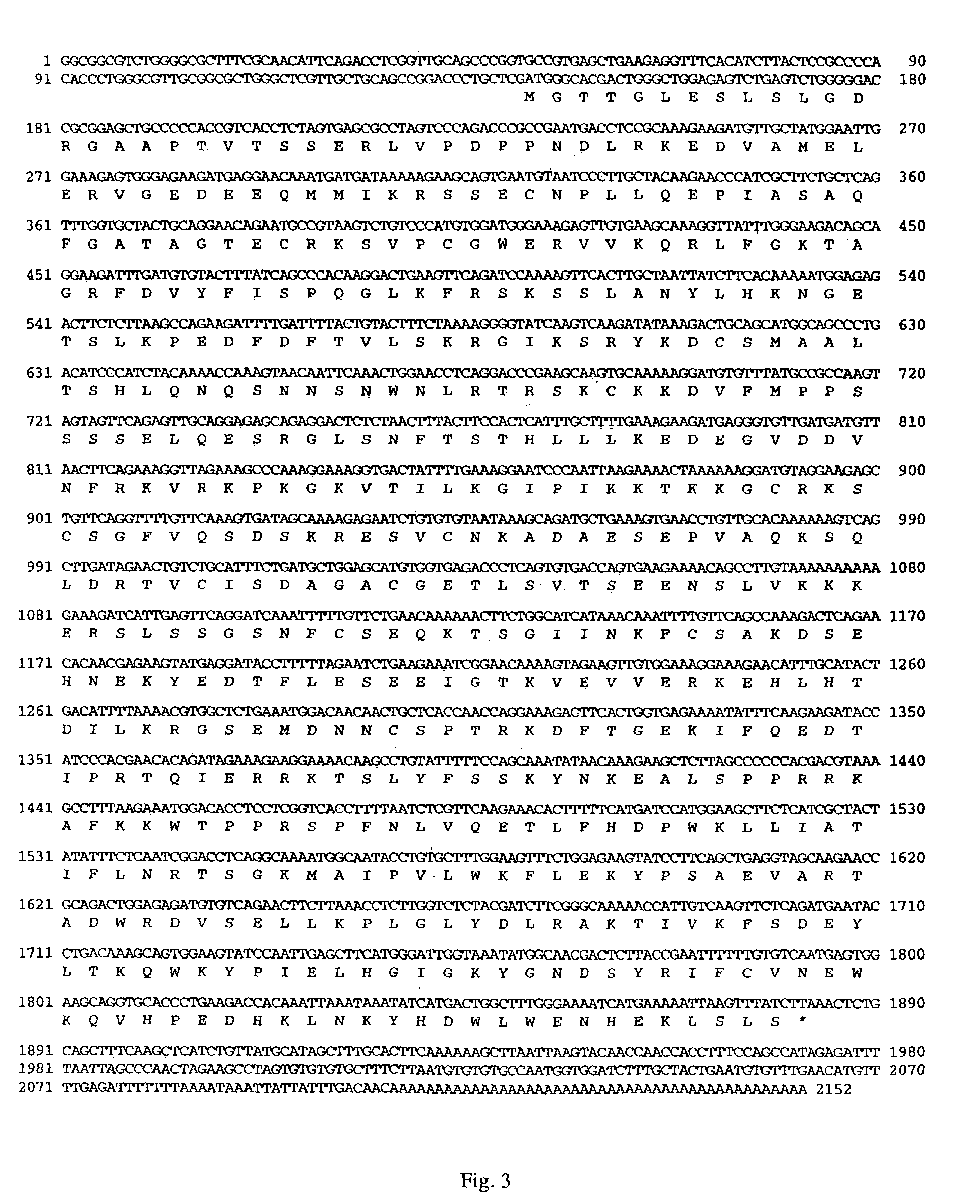 Antibodies immunologically specific for a DNA repair endonuclease and methods of use thereof