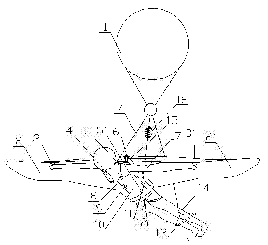 Human body flapping wing flying combination apparatus