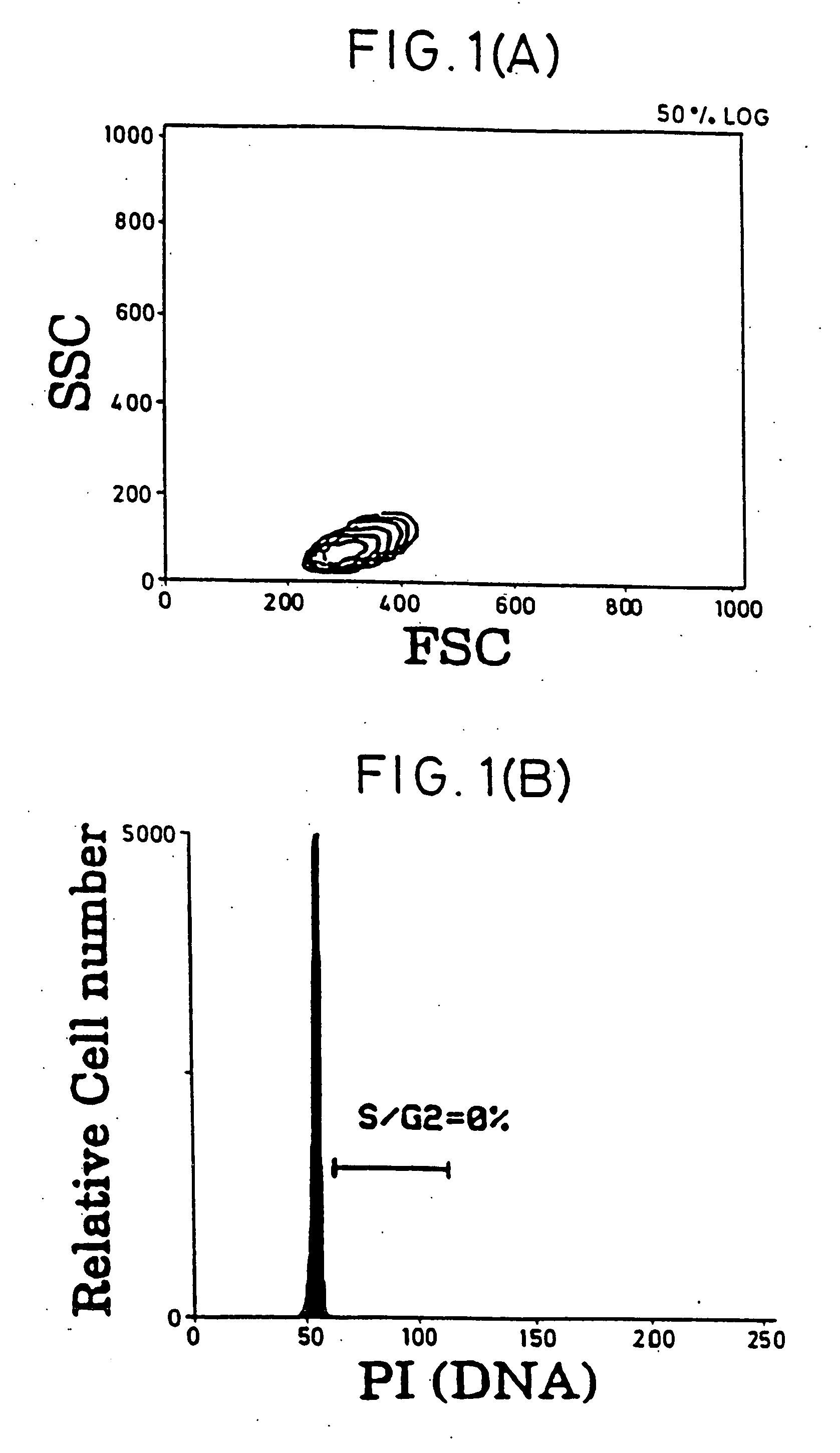 T cell activation