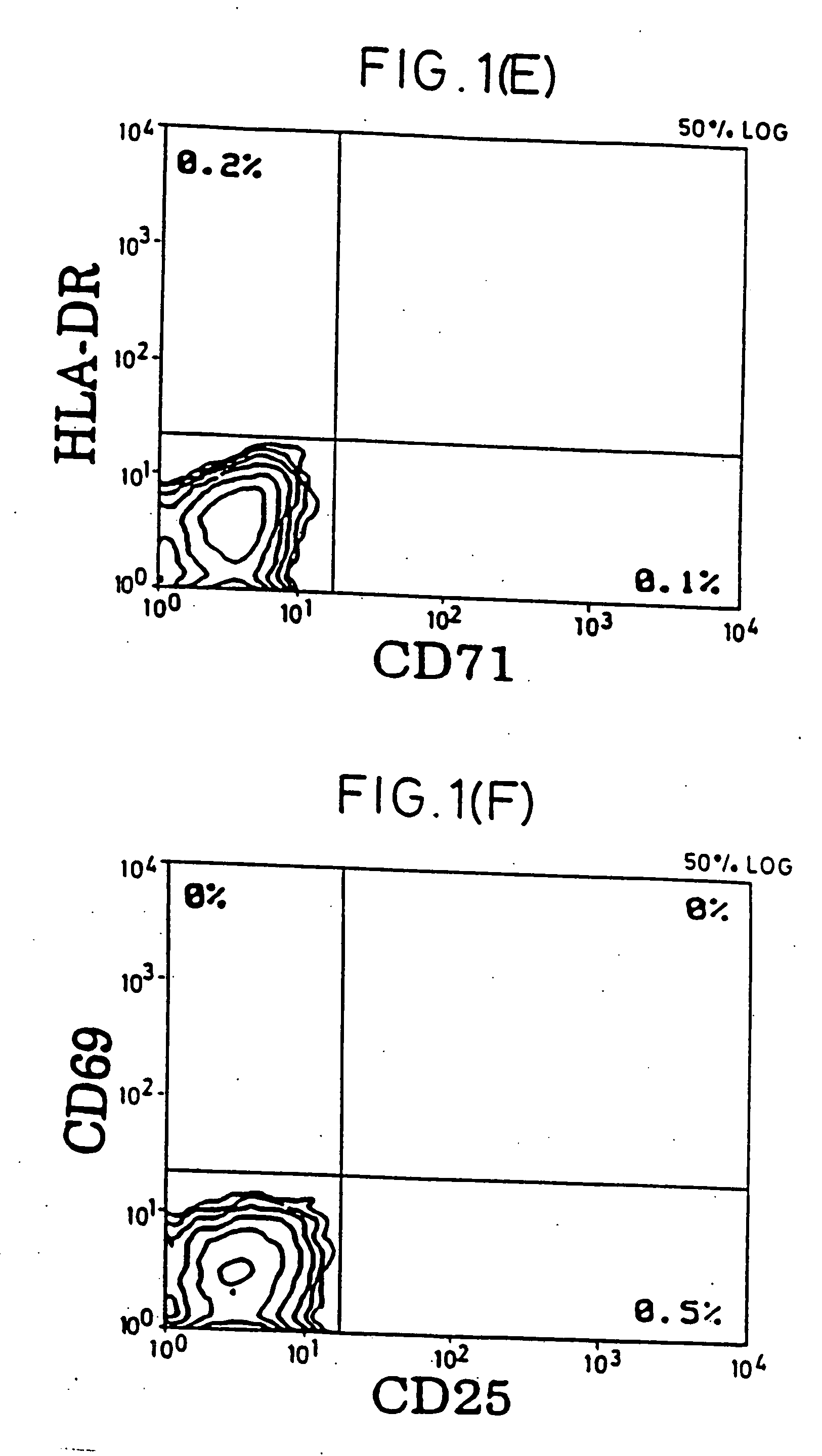 T cell activation