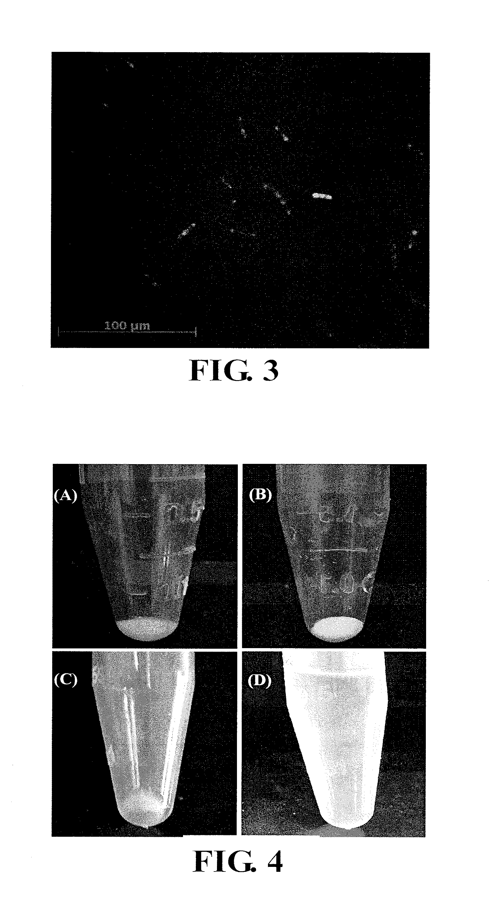 Expression Cassette, Recombinant Host Cell and Process for Producing a Target Protein