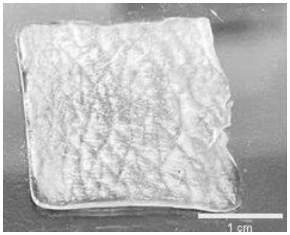 Preparation method of artificial skin