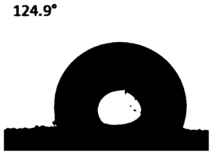 Hydrophobic starch-fiber composite foam material and preparation method thereof