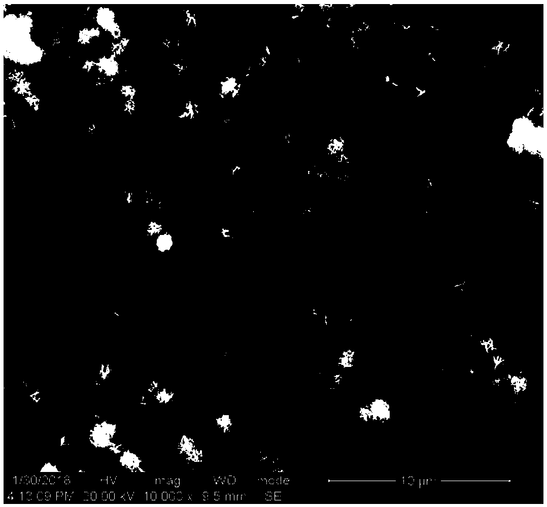 Three-dimensional sea urchin-like/porous composite structure lithium ion battery Cu/CuO/SnO2/C anode and preparation method thereof