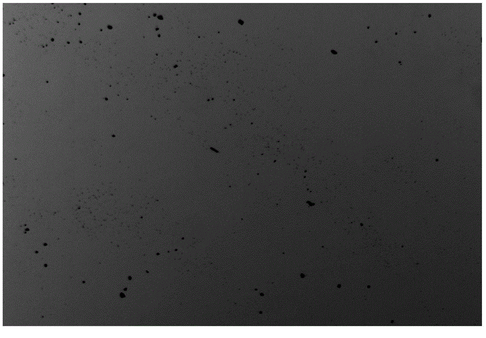 CHO-S cell semisolid medium as well as preparation method and application thereof