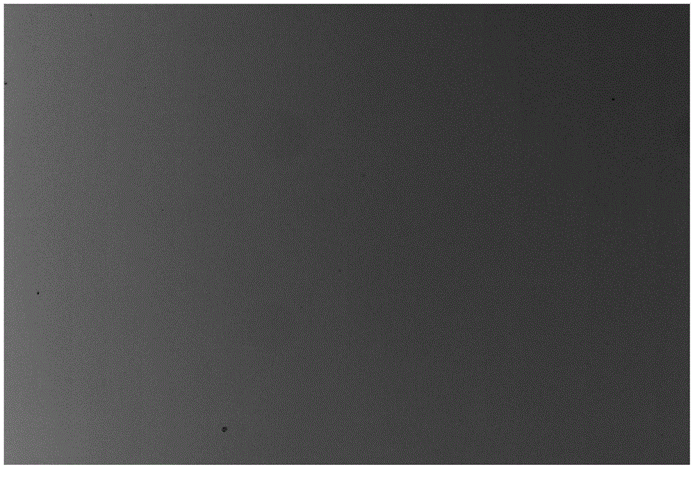 CHO-S cell semisolid medium as well as preparation method and application thereof