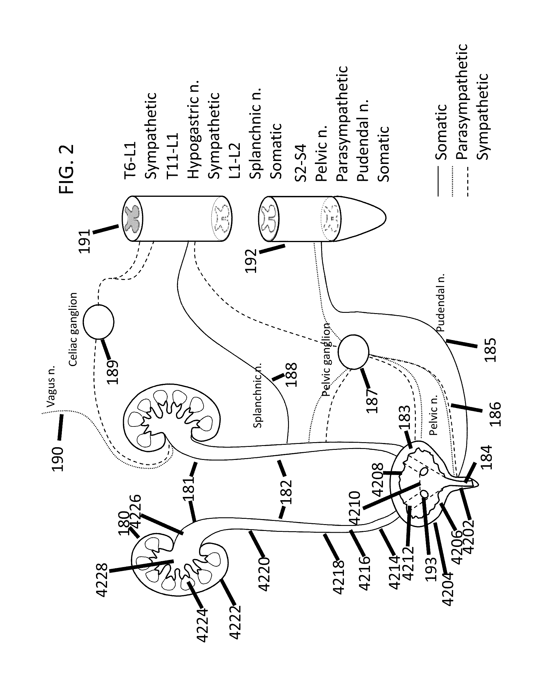 Stimulation of the urinary system