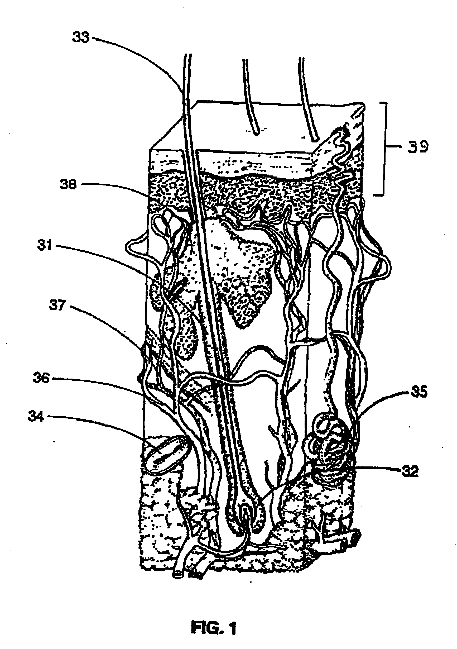 Device and method for hair growth from stem cells