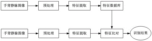 Identification method based on hand vein