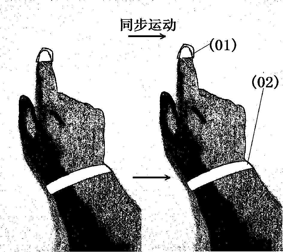 Electronic instrument and wearable type input device for same