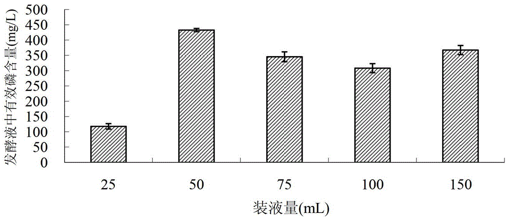 Plant growth-promoting rhizobacteria and application thereof