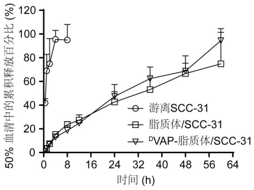 Molecular targeting drug-entrapped liposome and application of liposome in preparation of drug for treating tumors