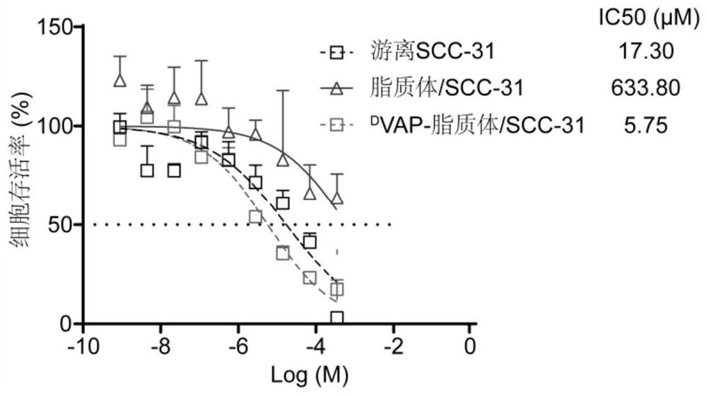 Molecular targeting drug-entrapped liposome and application of liposome in preparation of drug for treating tumors