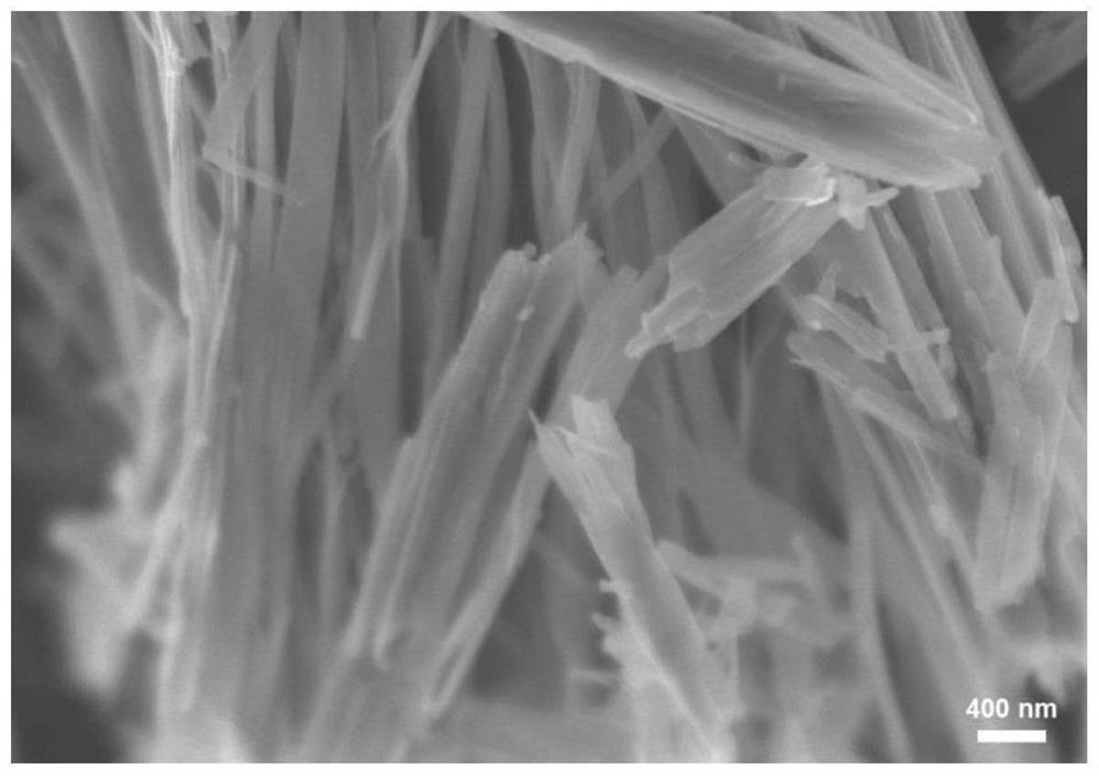 Preparation method of flexible strip-shaped lithium-carbon dioxide battery positive electrode material and battery