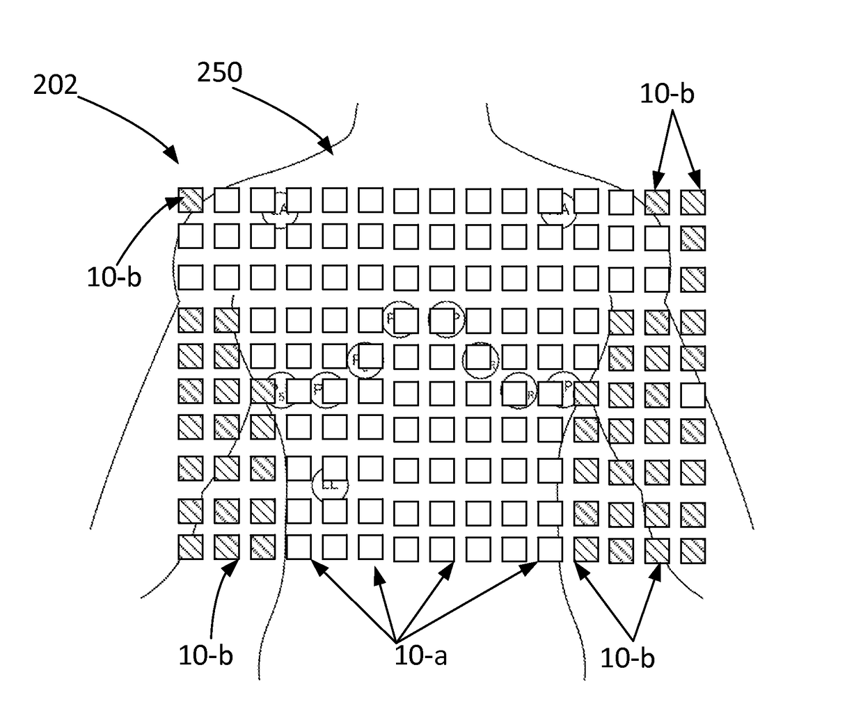 Contactless electric cardiogram system