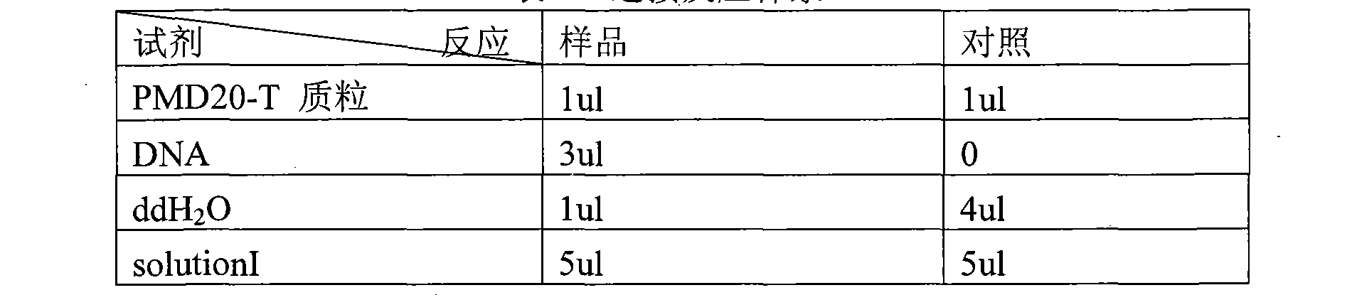 Trametes gallica, culture method and application thereof