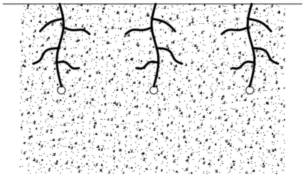 Processing method of water-dependent permeable organic fertilizer