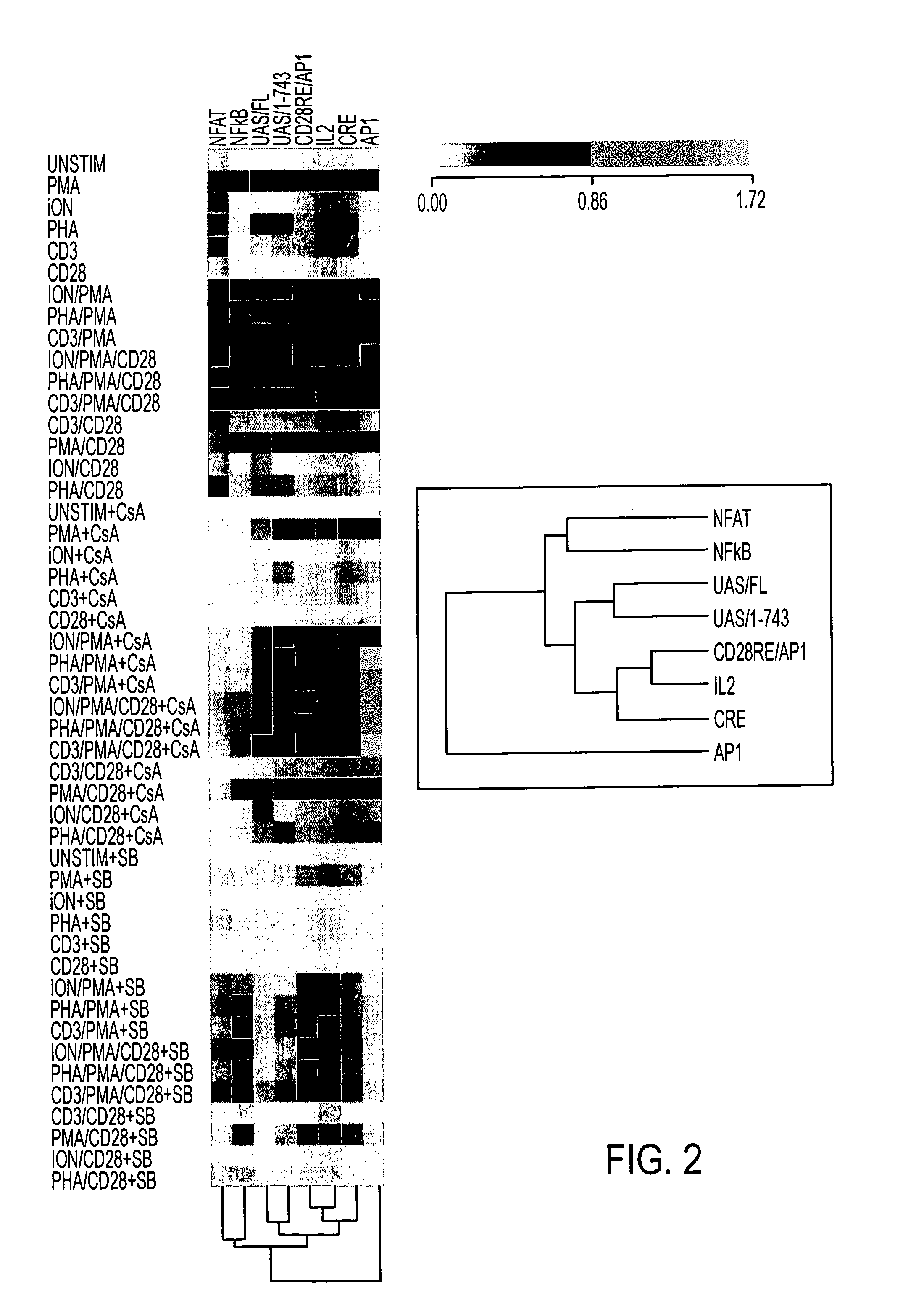 Multivariate profiling of complex biological regulatory pathways