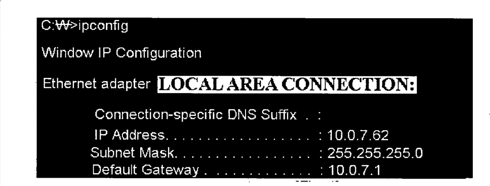 Method for processing native language internet address and storage medium for saving program of executing the same