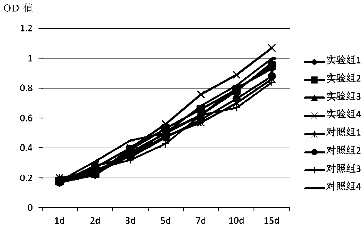 Human alveolar epithelial cell separation and culture method