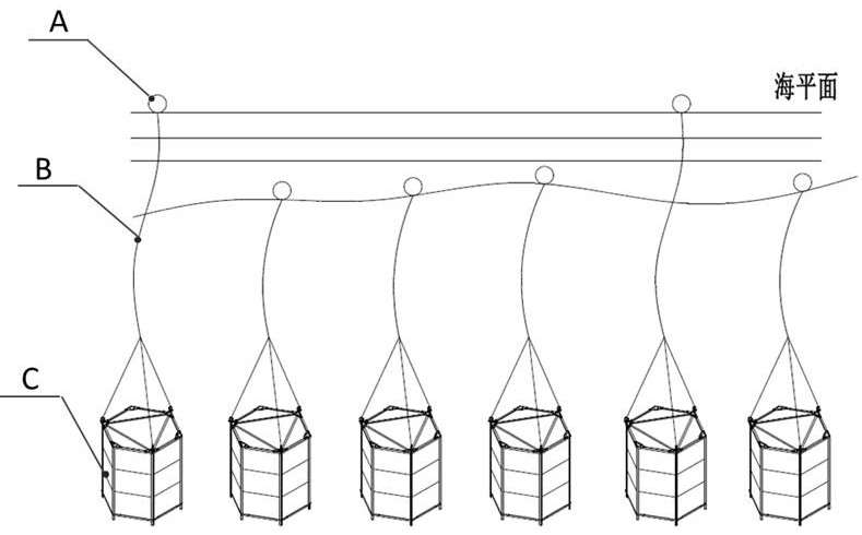 Hexagonal bottom-sinking type holothurian culture device