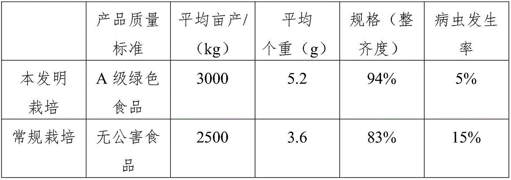 Cultivation method of purple cabbages