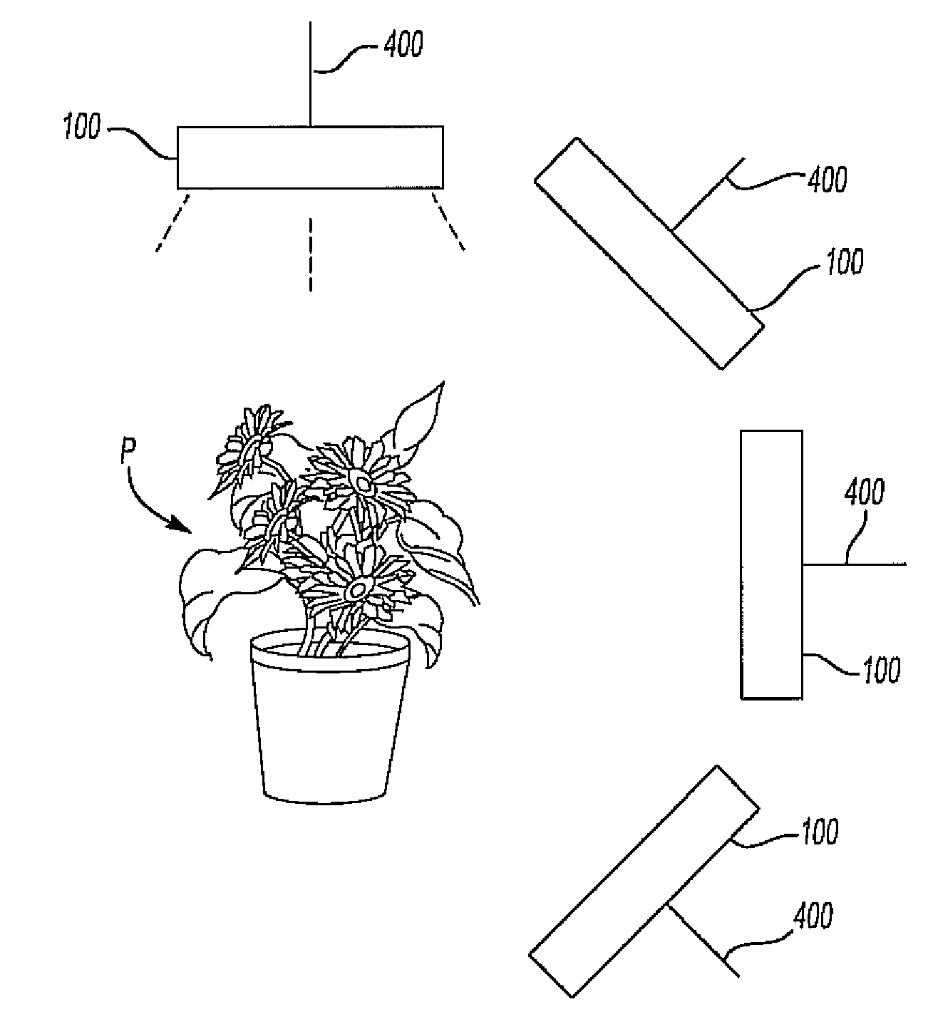 System of photomorphogenically enhancing plants