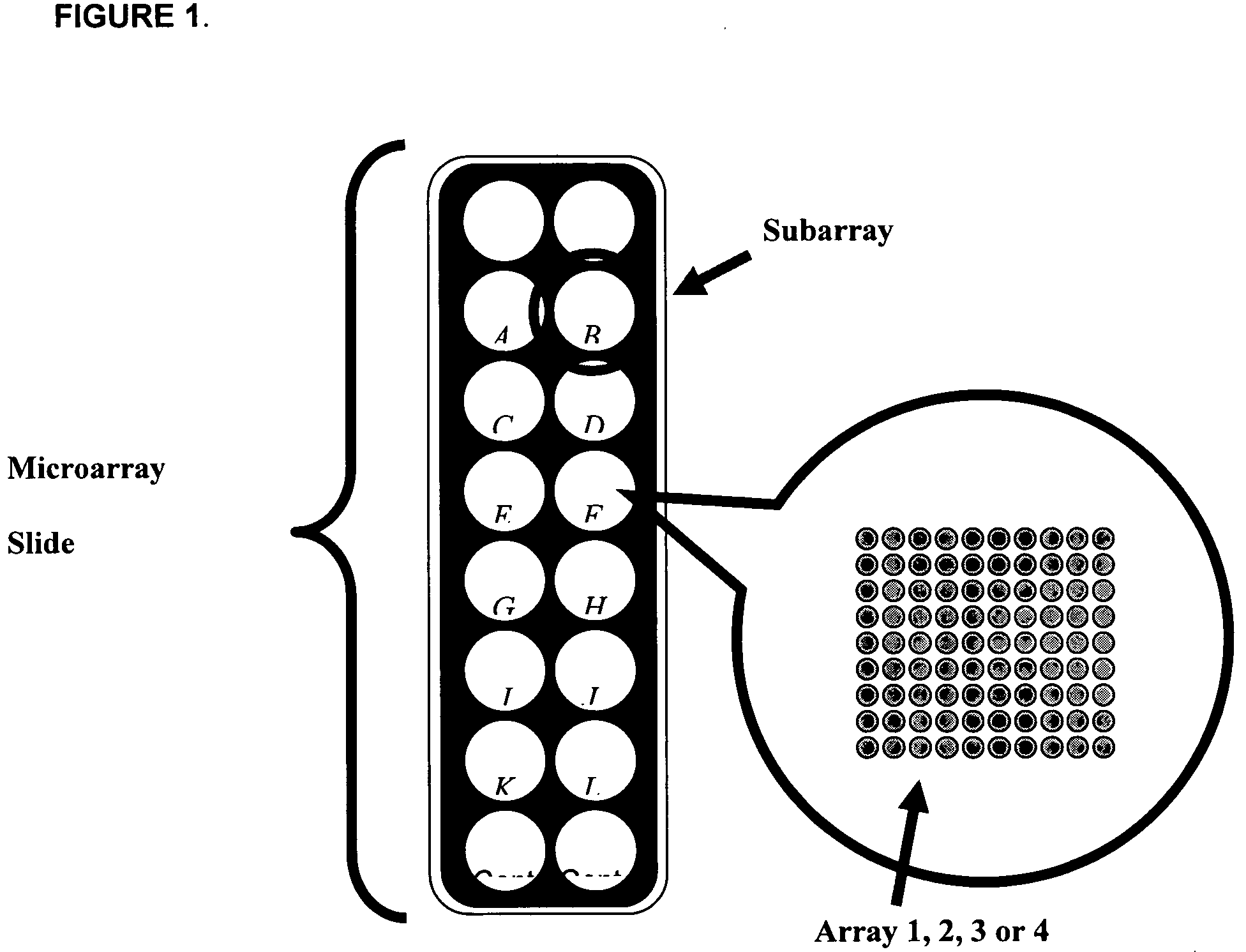 Biomarkers for sepsis